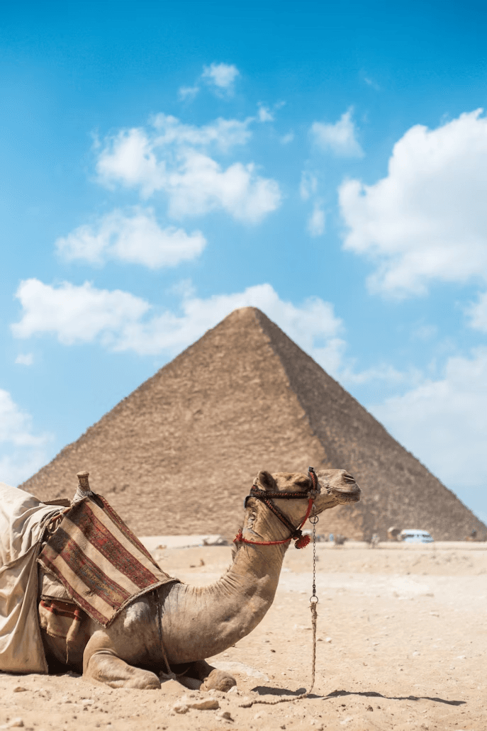 Egypt - Our Honeymoon Destination